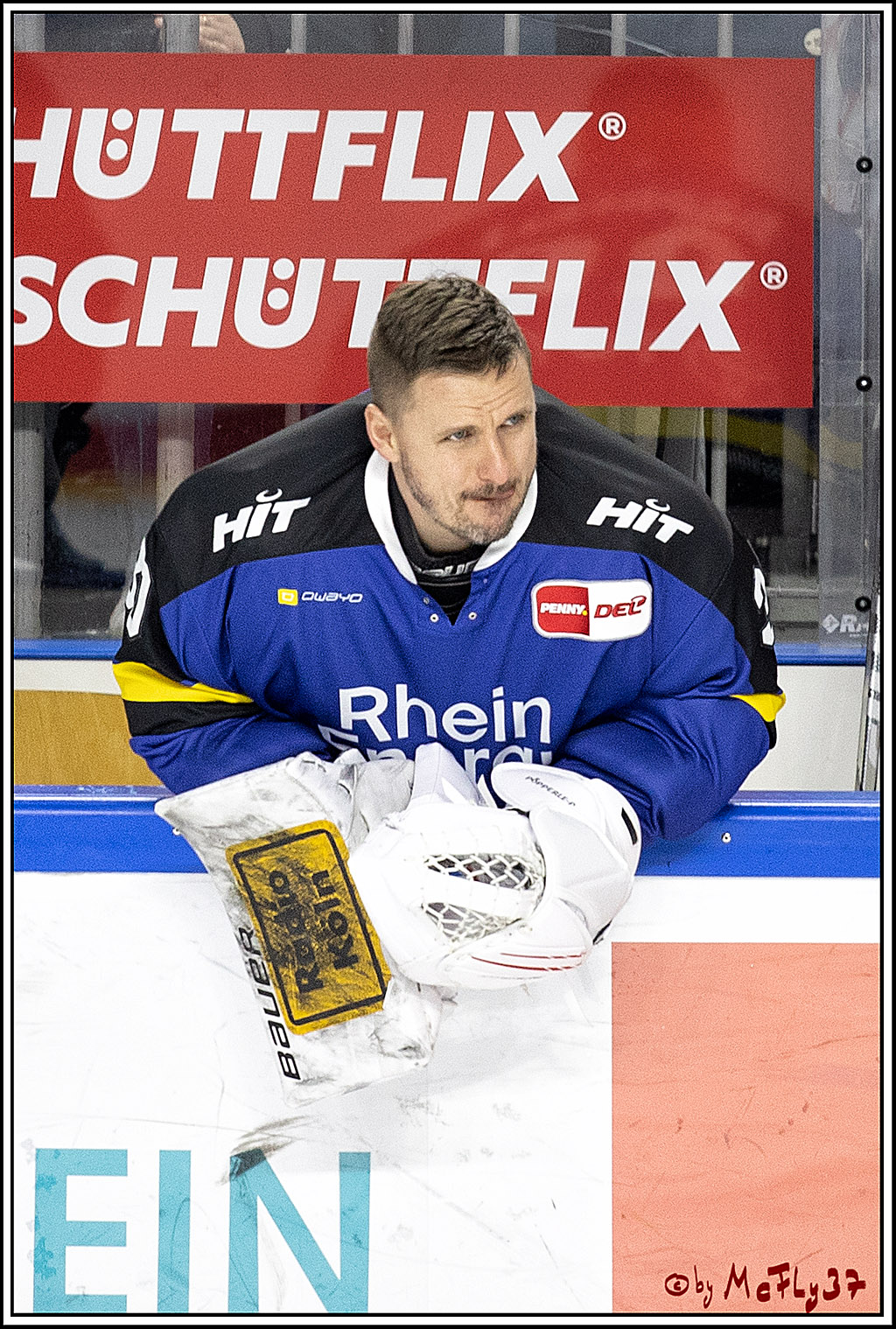 PENNY DEL;  Koelner Haie - Grizzlys Wolfsburg; Koeln, 25.11.2021